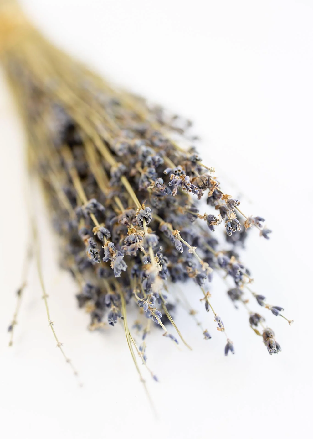 Mercy House Global - Lavender | 7 oz. Sugar Scrub
